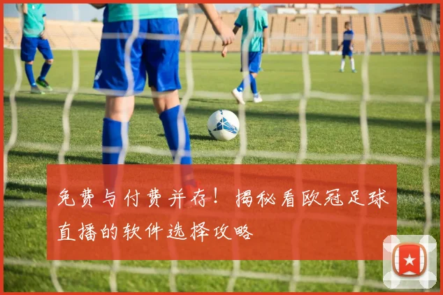 免费与付费并存！揭秘看欧冠足球直播的软件选择攻略
